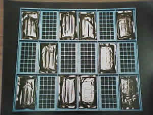 Allpax Injection Molded Trays - GE Resins